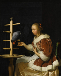 Woman feeding a Parrot by Frans van Mieris the Elder
