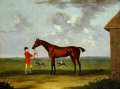 A Bay Horse called 'Fleacatcher' by John Nost Sartorius