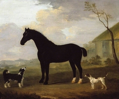 A Black Horse with Two Dogs by Francis Sartorius
