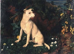 A White Terrier by a Mossy Bank with Flowers by William James Webbe