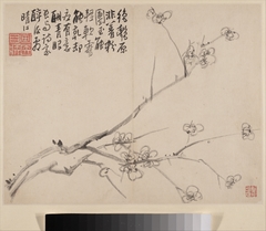 Album of Blossoming Plum by Li Fangying