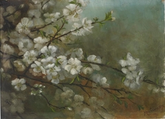 Almond Blossoms by May Gibbs