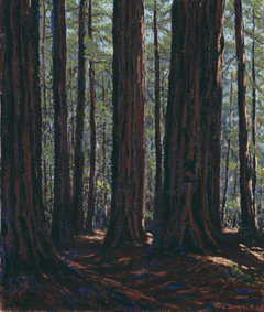 Among the Redwoods by Wallace Leroy DeWolf