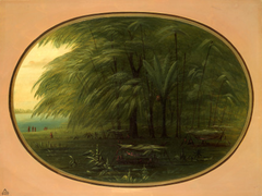 An Indian Village - Shore of the Amazon by George Catlin