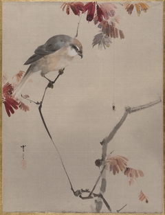Bird on Branch Watching Spider by Watanabe Shōtei