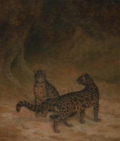 Clouded Leopard by Jacques-Laurent Agasse