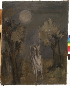 Ezel bij maanlicht by Arie Van de Giessen