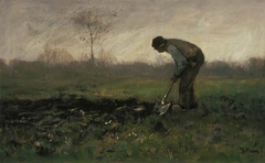 Field Labour