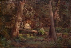 Forest Study by August Cappelen