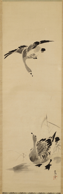 Geese and Reeds by Kanō Tsunenobu