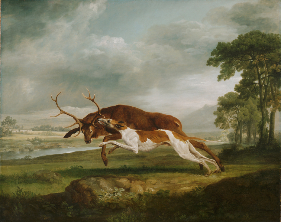 Hound Coursing a Stag