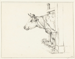 Kop van een koe, naar links by Jean Bernard