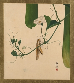 Lacquer Paintings of Various Subjects: Grasshopper on Gourd Vine by Shibata Zeshin