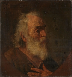 Old Man with a White Beard by Johann Heinrich Schmidt
