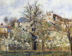 Orchard with Flowering Trees, Spring, Pontoise by Camille Pissarro