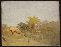 Palm tree in Ceylon. From the journey to India by Jan Ciągliński