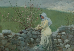 Peach Blossoms by Winslow Homer