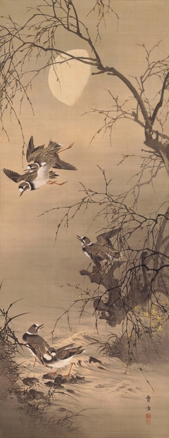 Plovers under the Moon by Morikawa Sōbun