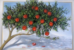 pomegranates by akis topalis