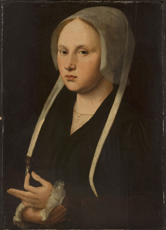 Portrait of a Lady by Jan van Scorel