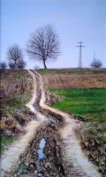 Rural road in early spring-1