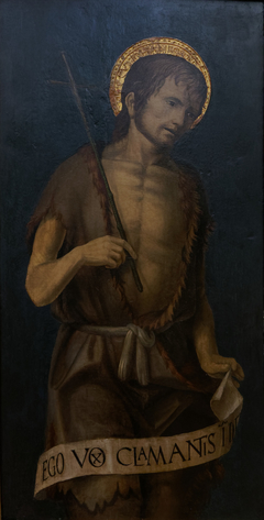 Saint Jean-Baptiste by Bernardo Zenale