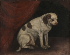 Seated dog by Jacopo Bassano