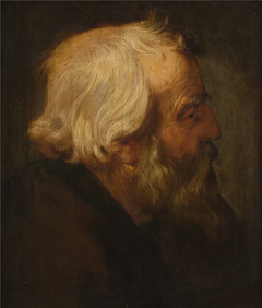 The Apostle Peter by Peter Paul Rubens