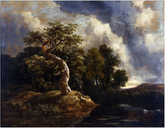 The Gnarled Oak by Jacob van Ruisdael