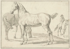 Twee paarden in een weide, rechts een ruiter by Anthony Jacobus Offermans