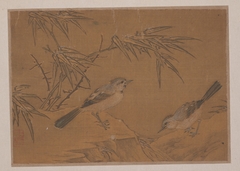Two Birds and Bamboo Plant