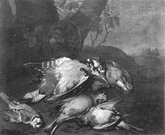 Vogeljagdbeute by Philipp Ferdinand de Hamilton