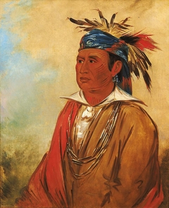 Wah-pón-jee-a, The Swan, a Warrior by George Catlin