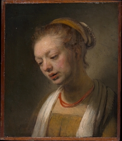Young Woman with a Red Necklace by Anonymous