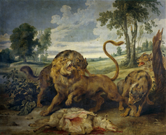 A Lion and three Wolves