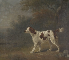 A Setter at the Edge of a Wood by Sawrey Gilpin