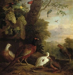 Birds in a landscape