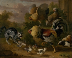Cat among roosters by Jakob Bogdani