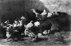 Chickens by Charles Jacque