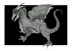 Dragon illustration by Toma Joksaite