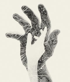 First frost by Christoffer Relander