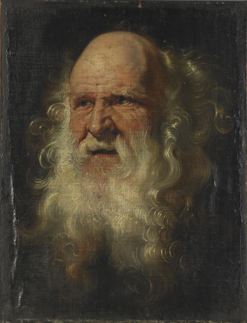 Head of an Old Man, Study
