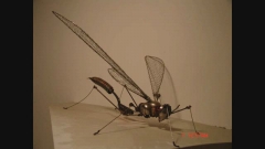Insect by ATHANASIOS SIOZOS