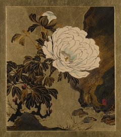 Lacquer Paintings of Various Subjects: Peonies