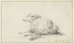 Liggend schaap, schuin van achteren by Pieter Gerardus van Os