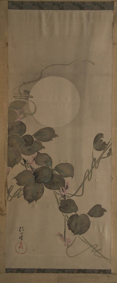 Moon and Flowering Arrowroot