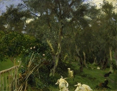 Olives in Corfu by John Singer Sargent