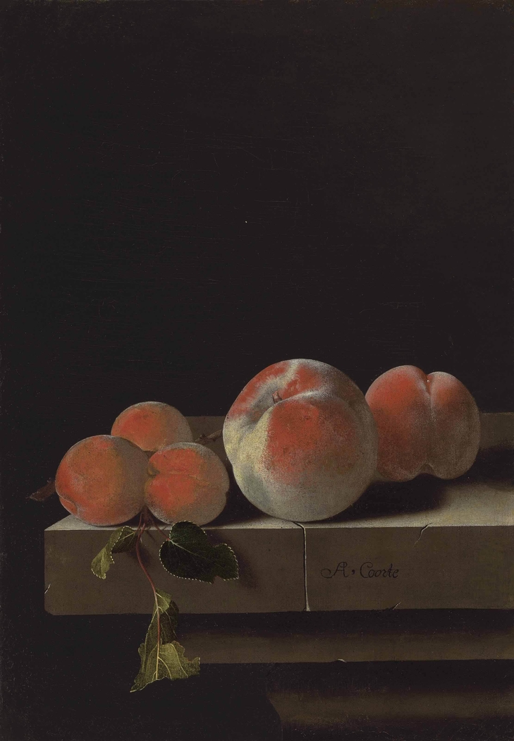 Peaches and apricots on a stone ledge