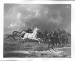 Pferde auf der Weide bei Gewitter