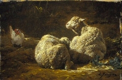 Sheep at Rest by Charles Jacque